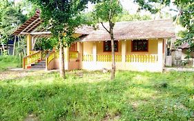 The Grace Guest House